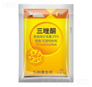 25%����ͪ-����¡����