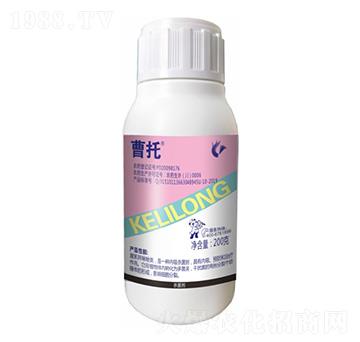 200�˼׻�����`-����-����¡����