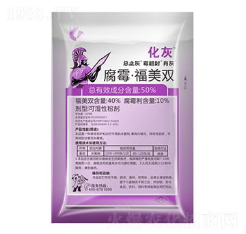 50%��ù�������p-����-����¡����