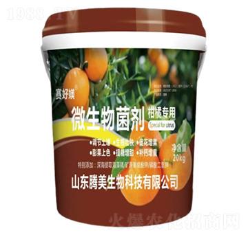 ���ٌ���΢�������-�v������