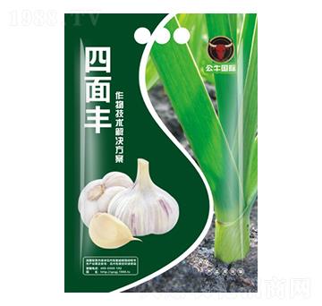 大蒜增產(chǎn)技術(shù)包-四面豐-公牛國(guó)際