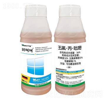 36%�������������-��Ǻ�-�f��