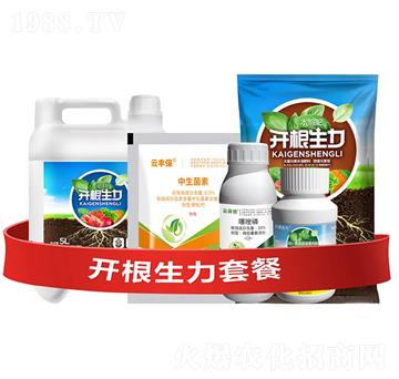 開根生力套餐Ⅰ-開根生力-云大科技