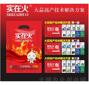 大蒜高產(chǎn)技術(shù)解決方案-實在火-紅太陽