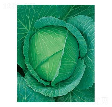 ���Sһ̖(h��o)���{(l��n)-̫��(l��)�N�I(y��)