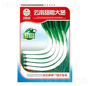 ���[�N��-���������[-̫���N�I(y��)