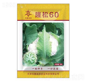 ¡��60-��¡����-��¡�r�I(y��)