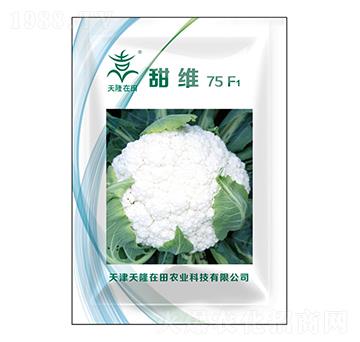 ��S75F1-��¡����-��¡�r�I(y��)