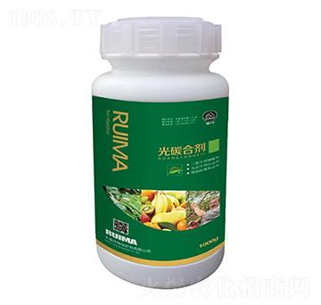 ��̼�τ�-�̶�����