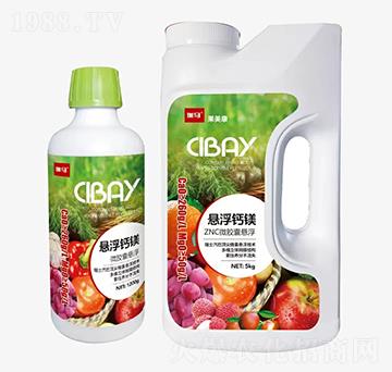 ZNC΢�z�ґҸ��}�V-������-�̶�����