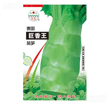 �n�S�N��-̩��������-̫���N�I(y��)