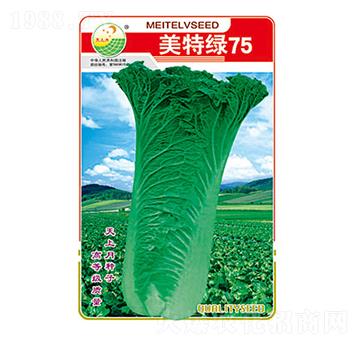 �ײ˷N��-���ؾG75-̫���N�I(y��)