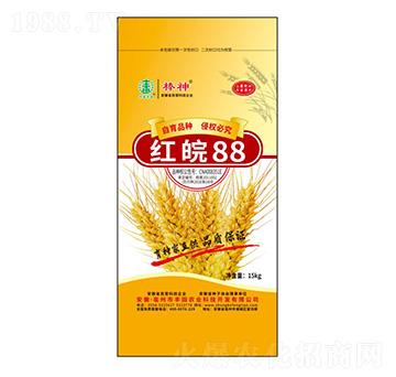 紅皖88小麥種子-豐田農(nóng)業(yè)