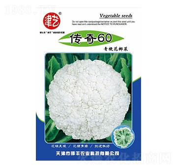 ���˷N��-����60-���S�r�I(y��)