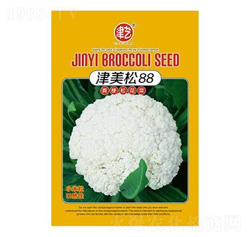 ���˷N��-������88-���S�r�I(y��)