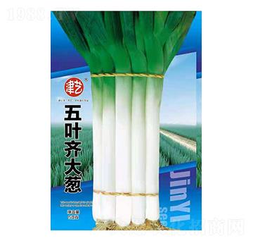 ���[�N��-���~�R���[-���S�r�I(y��)