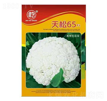 ���˷N��-����65-���S�r�I(y��)