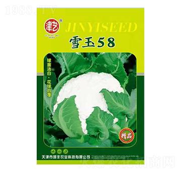 ���˷N��-ѩ��58-���S�r�I(y��)