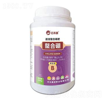 �����������-�|�̿�-���Z�ʘI(y��)