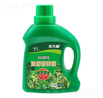 �G�}�ͼ�ͥ�@ˇ��s�I�B(y��ng)Һ-����-�G�ַʘI(y��)