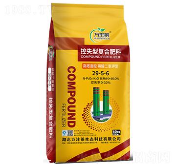 �����������������Ϳ�ʧ�͏ͺϷ���29-5-6-�f�S�R-�Dؐ