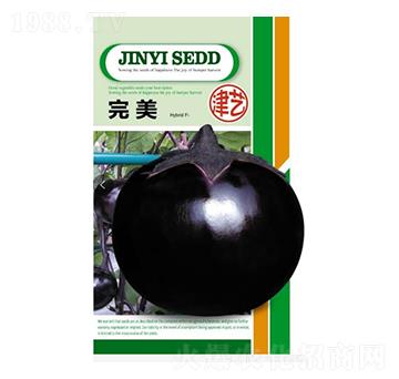 ���ӷN��-����-���S�r�I(y��)