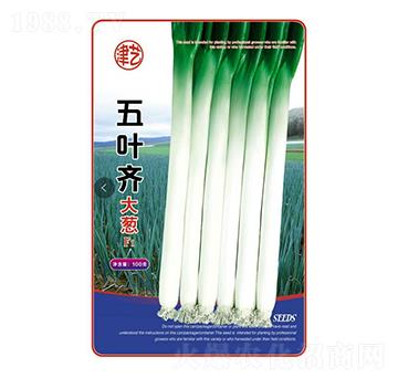 ���[�N��-���~�R���[-���S�r�I(y��)