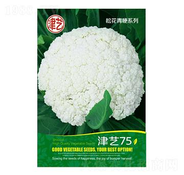 ���˷N��-��ˇ75-���S�r�I(y��)