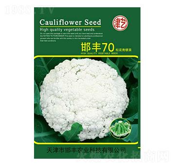 ���˷N��-���S70-���S�r�I(y��)