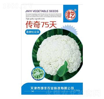 ���˷N��-����75��-���S�r�I(y��)