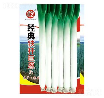 ���[�N��-�����F�U���[-���S�r�I(y��)