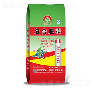 ��(f��)�Ϸ���28-6-6-�t���o