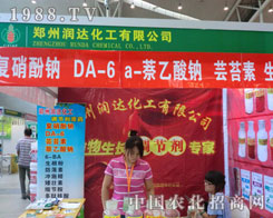 ���ݝ�(r��n)�_(d��)�����F(xi��n)���½��r(n��ng)�Y��(hu��)