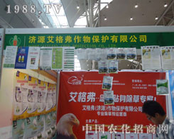 ���񸥡������N�����݌�����