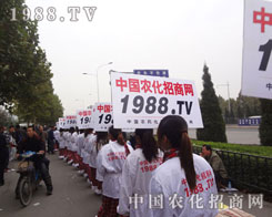 �r(n��ng)�����̾W(w��ng)��ʿ����M�o�޻���