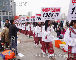 2012���ʮ�ˌÝ���ֲ�����҂�����һ���µ��@ϲ