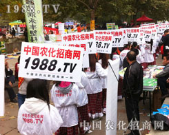 ���P����ɣ��]����������