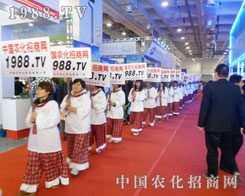 �e�۳ɹ��Ľ�(j��ng)���1988.TV��δ�팢������