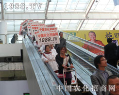 �r���W(w��ng)��(zh��n)ʿ�����p�����|����ƴ��һƬ�x�͵����