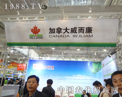 ���������ۺ�Č���������A