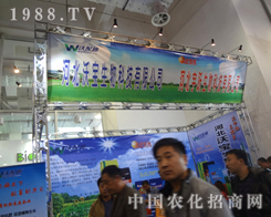 ���S�����A���ǈ���ʮ�ˌ�ɽ�|ֲ��������(hu��)