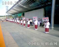 �M��չʾ���G�ؼ����r(n��ng)���W(w��ng)����