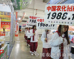 2013�꼪���L�����ϕ��ψF꠵ĸ���