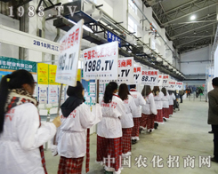 2013���ַ��ϕ������r(n��ng)���W(w��ng)�����