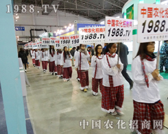 չ�����ʲ��������c��(y��ng)�Ӳ�Ͼ