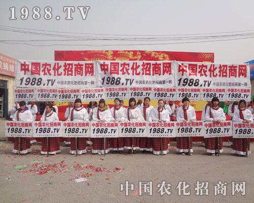 С�ח��(ji��n)��(qi��ng)���ͣ��r(n��ng)���W(w��ng)���ͣ�