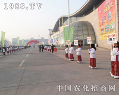 �ഺ���P(y��ng)������o��