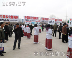 2013�ӱ�ֲ�������r(n��ng)���W(w��ng)�������_�A