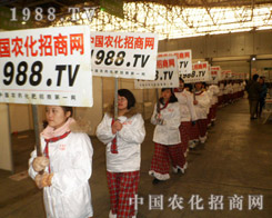 25���ȷ�ֲ�����ו�(hu��)���r(n��ng)���W(w��ng)�ի@���u(p��ng)