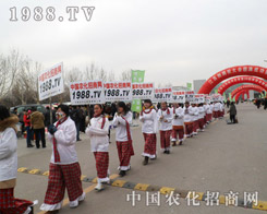 �ӱ�ֲ���p����(hu��)��1988.TV�����(du��)�����ی�(sh��)��